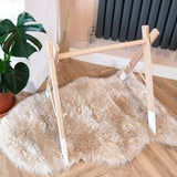 Premium Beech Wood Play Gym With Pastel Charm