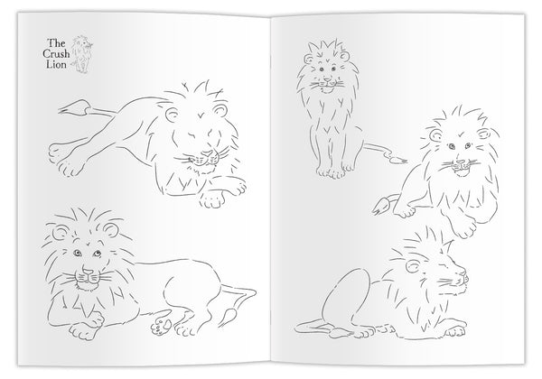 Monkey Crush Colouring Book