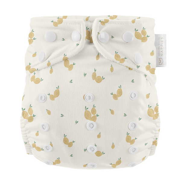 Toddler Plus Size Reusable Swim Nappies