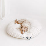Lounger Floor Pillow With Handle