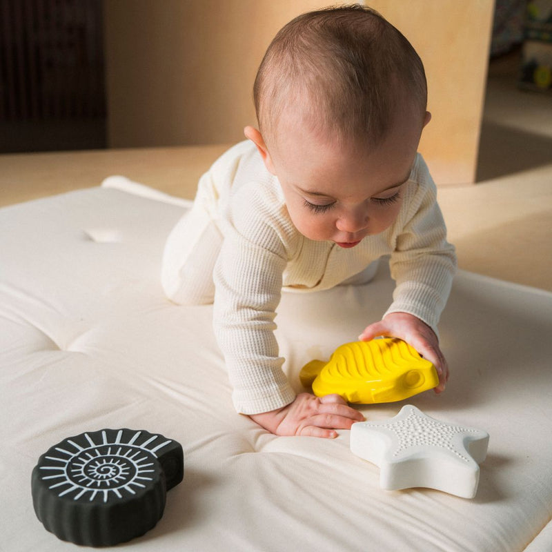 ANIMAL BATH TOYS 3-PACK - Suitable From Birth