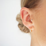 Gold Rainbow Hoop Earrings