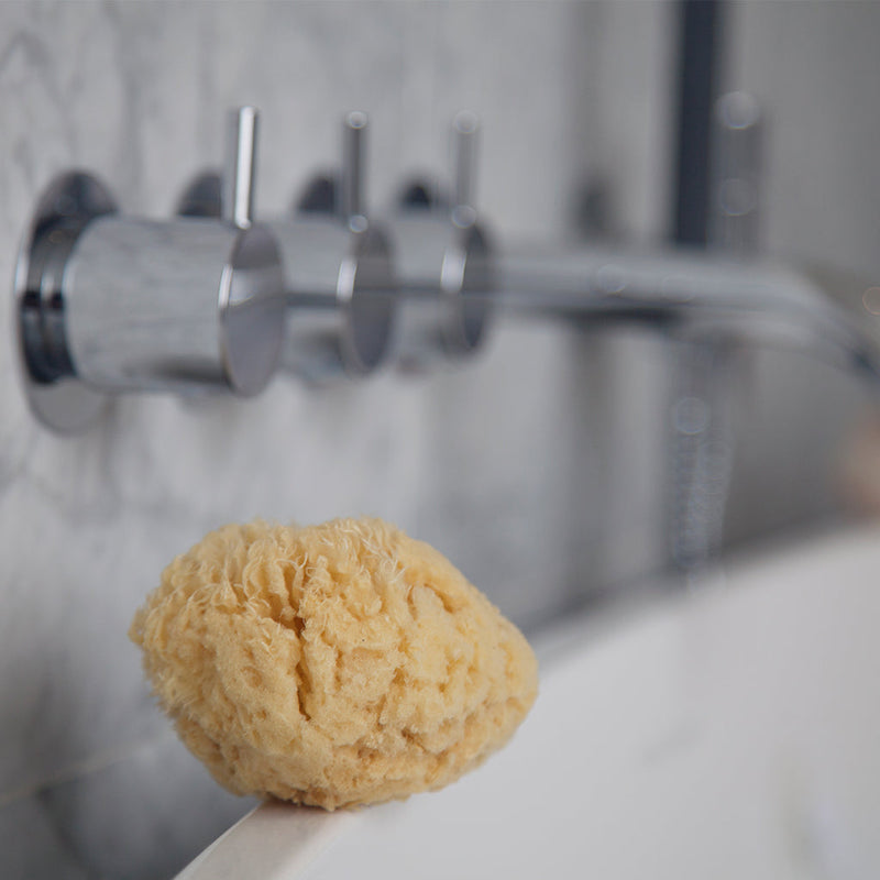 Natural Sea Sponge